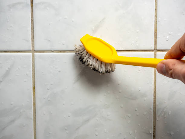 Best Professional Mold Removal  in , DE